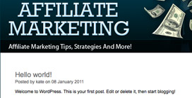 Affiliate Marketing: : Wordpress Profit Pack!