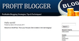 Profitable Blogging: : Wordpress Profit Pack!
