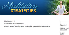 Meditation Strategies Blog